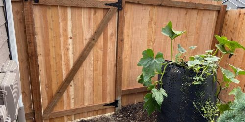 Fence Installation (2)