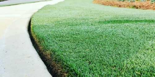 Fertilization, Lawn Fertilization, Lawn Care, Lawn Service, Lawn Mowing, Free Estimate