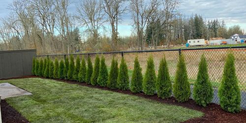 Landscaping, Landscape Design, Landscaping Company, Landscaping Contractor, Landscaping Company