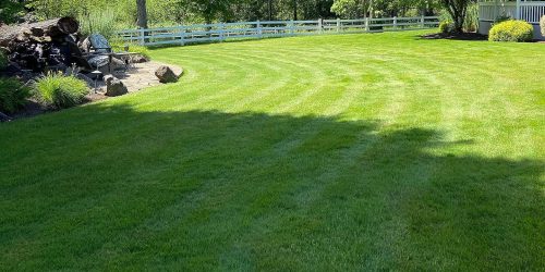 Lawn Care, Lawn Mowing, Grass Cutting, Lawn Maintenance, Lawn Care Business, Free Estimate