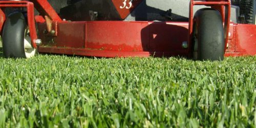 Lawn Mowing, Lawn Care, Mowing Company, Grass Cutting, Mowing Service, Free Estimate