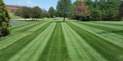 Lawn Care, Lawn Mowing, Grass Cutting, Lawn Maintenance, Lawn Care Business, Free Estimate