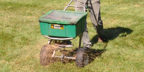 Fertilization, Lawn Fertilization, Lawn Care, Lawn Service, Lawn Mowing, Free Estimate